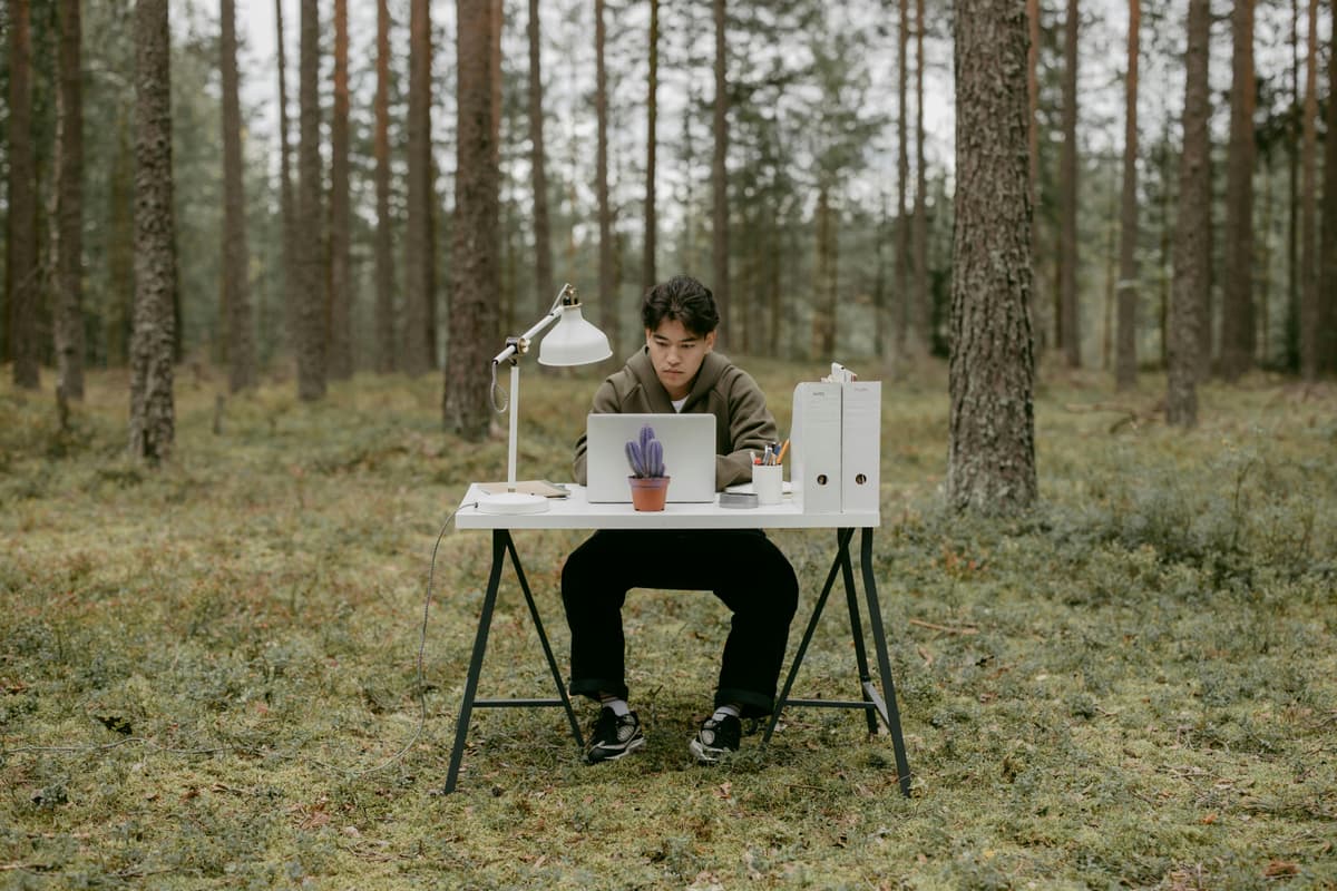 Freelancer working at a desk